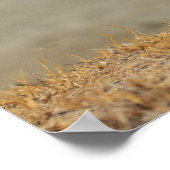 Kori Bustard, de zwaarste vliegende vogel van Afri Poster (Hoek)