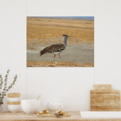 Kori Bustard, de zwaarste vliegende vogel van Afri Poster (Keuken)