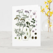 koriander kaart (Gele Bloem)