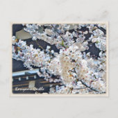 Kōriyama Castle ポストカード Briefkaart (Voorkant)