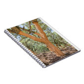 Korkbomen in de Portugese Algarve.JPG Notitieboek (Rechterzijde)