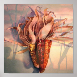 Korn bij zonsondergang poster