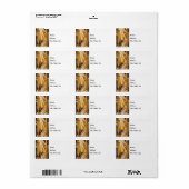 Korn Cobb op Stalk-Adresetiketten Etiket (Full Sheet)