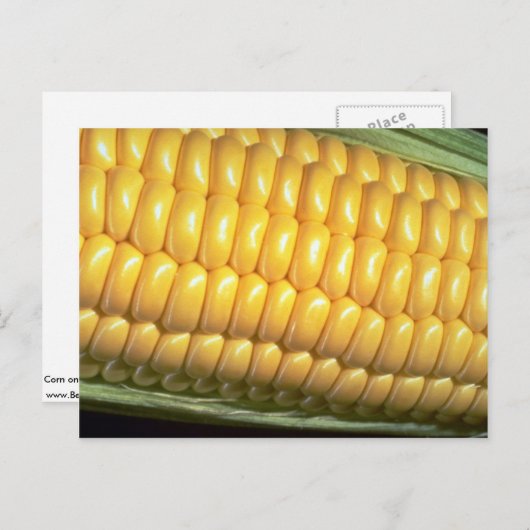 Korn op de krab briefkaart (Voorkant / Achterkant)