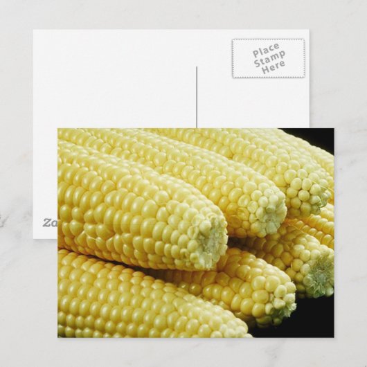 Korn op de krab briefkaart (Voorkant / Achterkant)