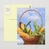 Korn op het Briefkaart van de Cob (Voorkant / Achterkant)