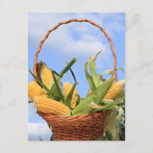 Korn op het Briefkaart van de Cob