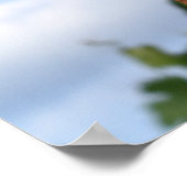 Korn op het Poster van de Cob (Hoek)