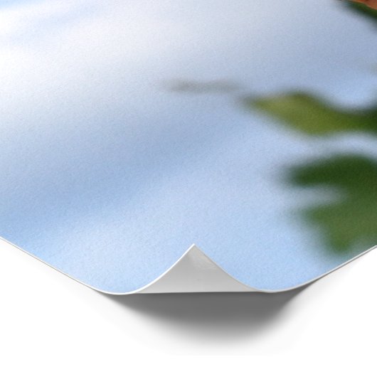 Korn op het Poster van de Cob (Hoek)