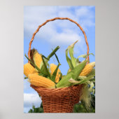 Korn op het Poster van de Cob (Voorkant)