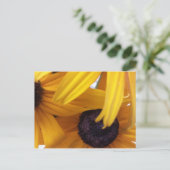 Kornbloem 1 briefkaart (Staand voorkant)