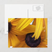 Kornbloem 1 briefkaart (Voorkant / Achterkant)