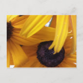 Kornbloem 1 briefkaart (Voorkant)