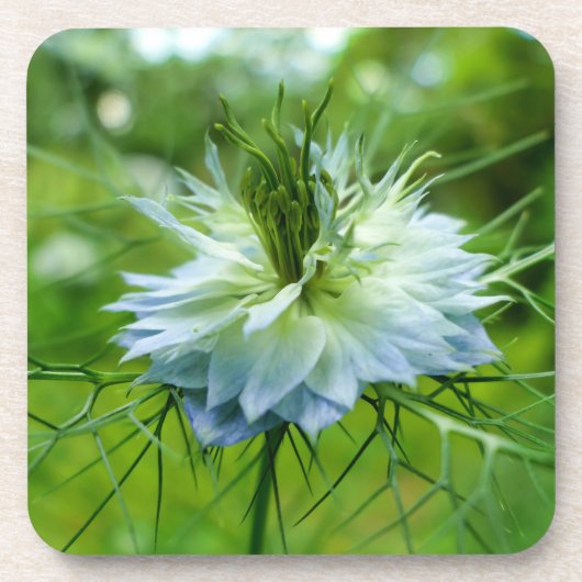 Kornbloem Bier Onderzetter (Voorkant)