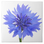 kornbloem blauw tegeltje (Voorkant)