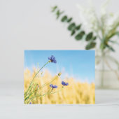 Kornbloem Briefkaart (Staand voorkant)