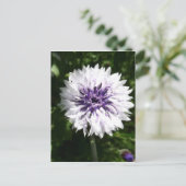 kornbloem briefkaart (Staand voorkant)