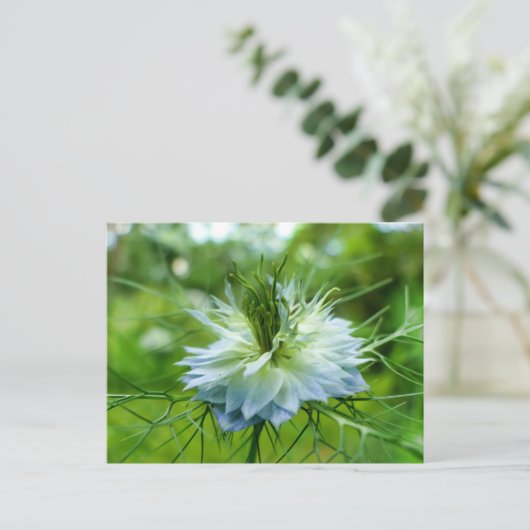 Kornbloem Briefkaart (Staand voorkant)