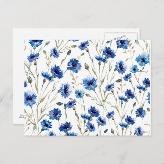 kornbloem briefkaart (Voorkant / Achterkant)