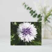 kornbloem briefkaart (Staand voorkant)