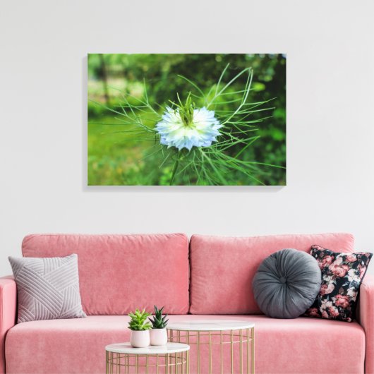 Kornbloem Canvas Afdruk (Insitu (Woonkamer))