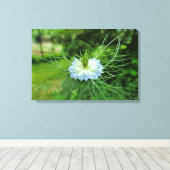 Kornbloem Canvas Afdruk (Insitu (Houten vloer))