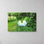 Kornbloem Canvas Afdruk (Voorkant)