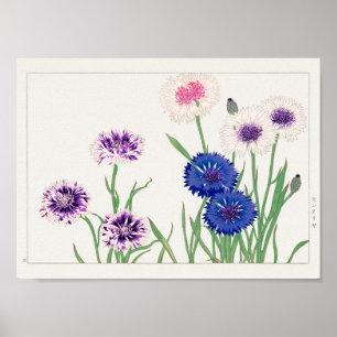 Kornbloem door Tanigami Konan Poster