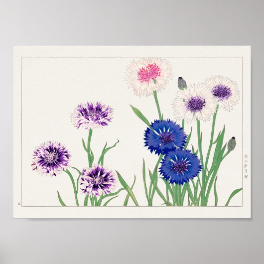 Kornbloem door Tanigami Konan Poster (Voorkant)