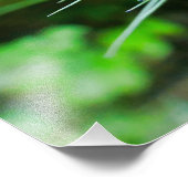 Kornbloem Foto Afdruk (Hoek)