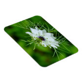 Kornbloem Magneet (Rechterzijde)