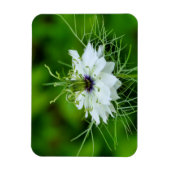 Kornbloem Magneet (Verticaal)