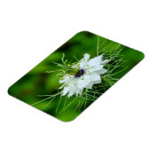 Kornbloem Magneet (Linkerzijde)