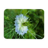 Kornbloem Magneet (Horizontaal)