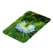 Kornbloem Magneet (Linkerzijde)