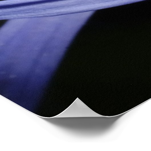 Kornbloem Poster (Hoek)