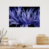 Kornbloem Poster (Keuken)