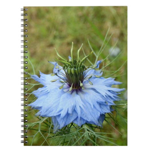 Kornbloem Spiral Foto Notitieboek (Voorkant)