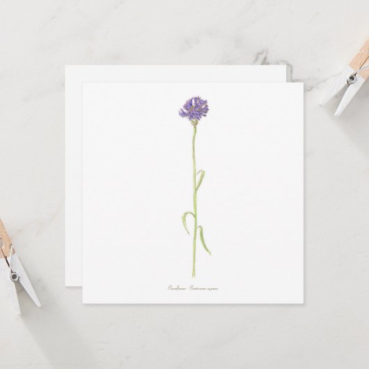 Kornbloem-waterverf Kaart (Voorkant / Achterkant in situ)