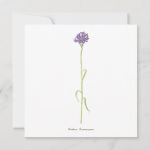 Kornbloem-waterverf Kaart