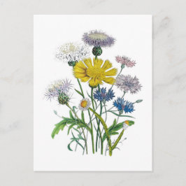 Kornbloemen Briefkaart