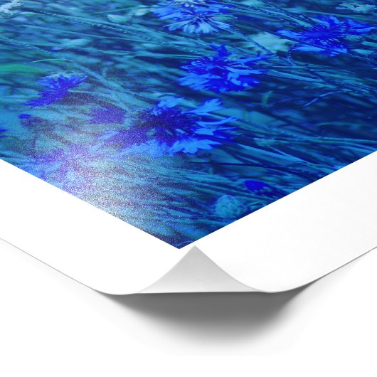 Kornbloemen Foto Afdruk (Hoek)