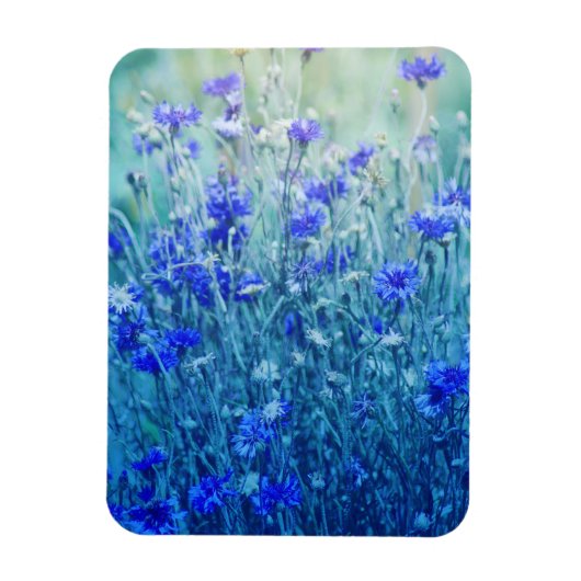 Kornbloemen Magneet (Verticaal)