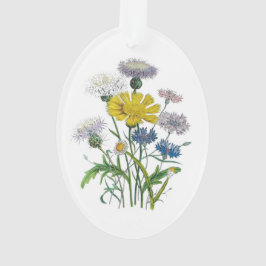 Kornbloemen Ornament