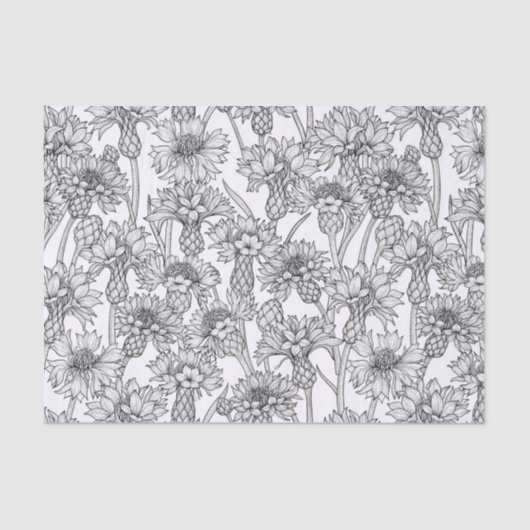 Kornbloemen, wilde bloemen, zwart-wit tissuepapier (Voorkant)