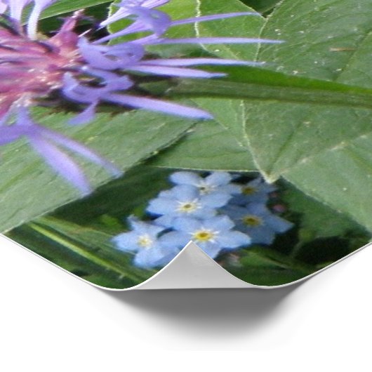 Kornblokafdruk Poster (Hoek)