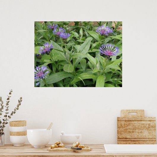 Kornblokafdruk Poster (Keuken)