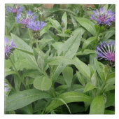 Kornbloktegel Tegeltje (Voorkant)