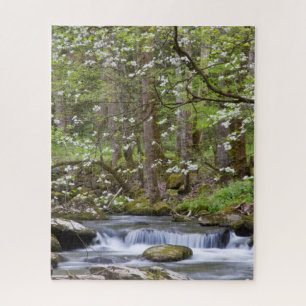 Kornoelje Bomen Great Smoky Mountain, Tennessee Legpuzzel