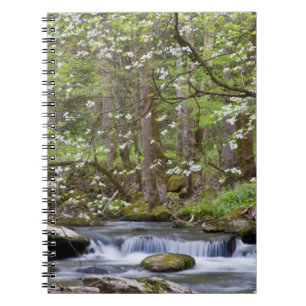 Kornoelje Bomen   Great Smoky Mountain, Tennessee Notitieboek